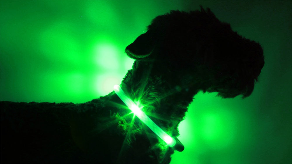 šviesos apykaklė Leuchtie ypač ryškiai žalios spalvos, permatomo vamzdžio