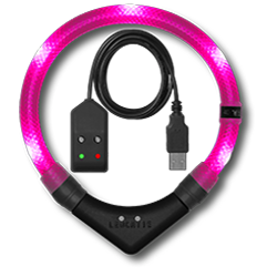 Leuchthalsband LEUCHTIE Easy Charge